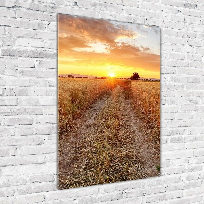 Akril üveg kép Búzamező