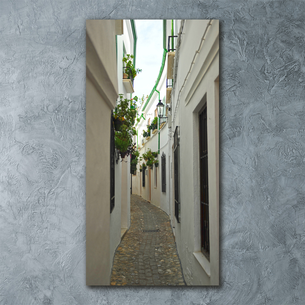 Akrilüveg fotó Utcák andalúzia