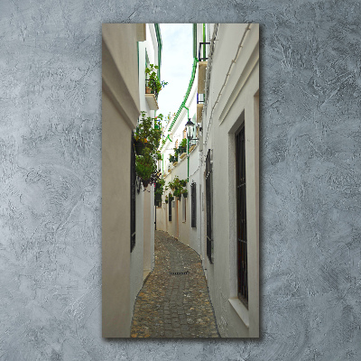 Akrilüveg fotó Utcák andalúzia