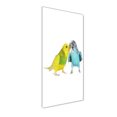 Akrilkép Budgies