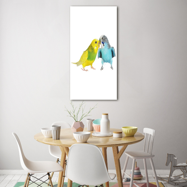 Akrilkép Budgies