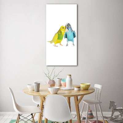 Akrilkép Budgies