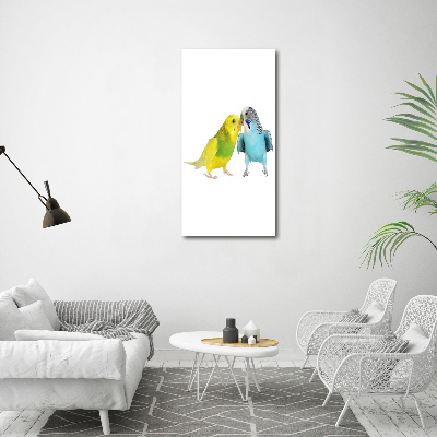 Akrilkép Budgies