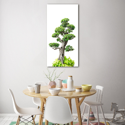 Akrilkép Bonsai fa