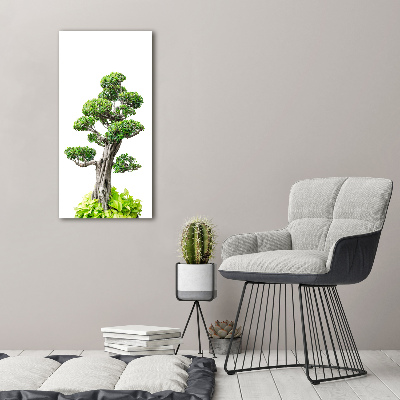 Akrilkép Bonsai fa