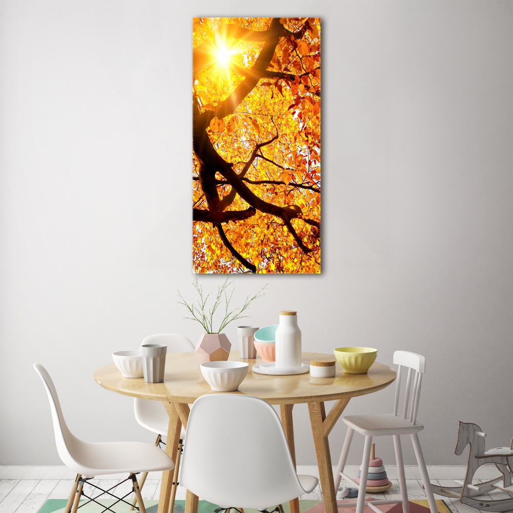 Akril üveg kép Őszi fa