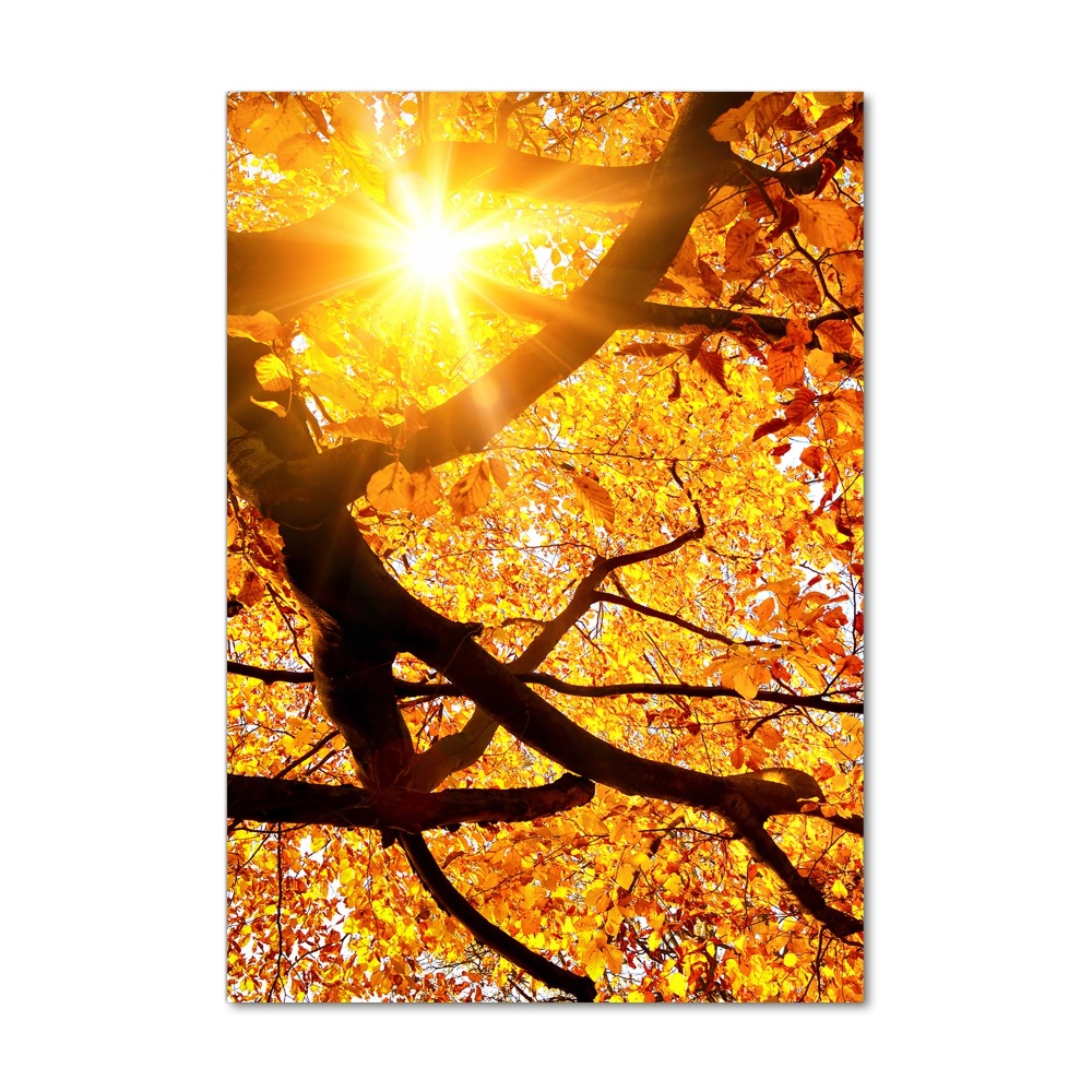 Akril üveg kép Őszi fa