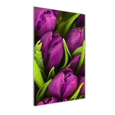 Akrilkép Lila tulipánok