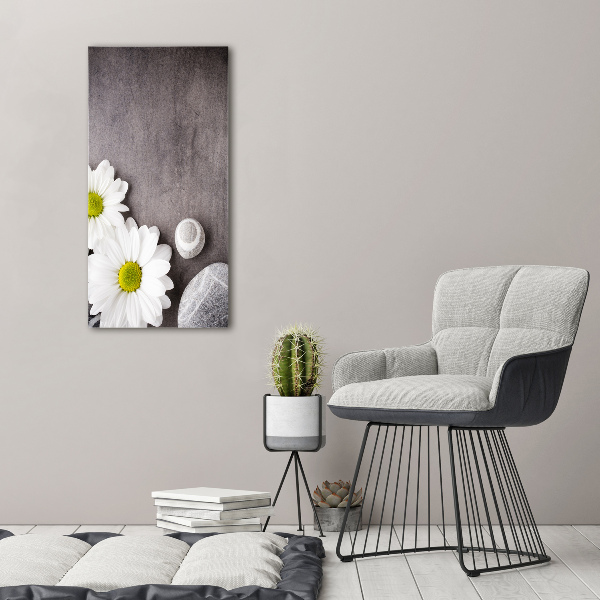 Akrilkép Gerbera