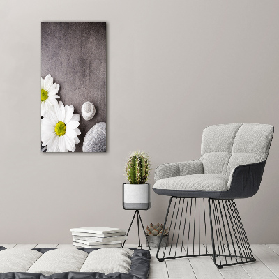 Akrilkép Gerbera