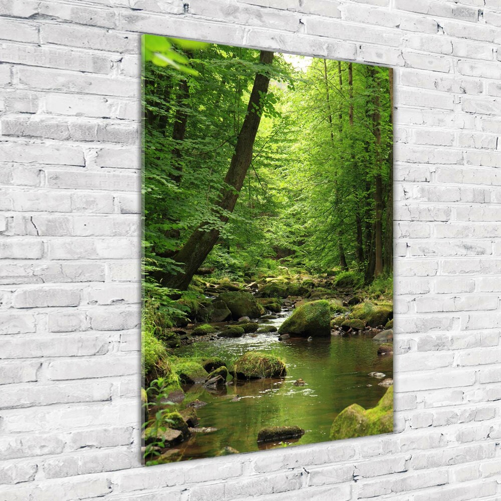 Akril üveg kép Folyó az erdőben