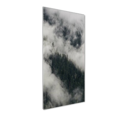Akril üveg kép Cloud az erdő