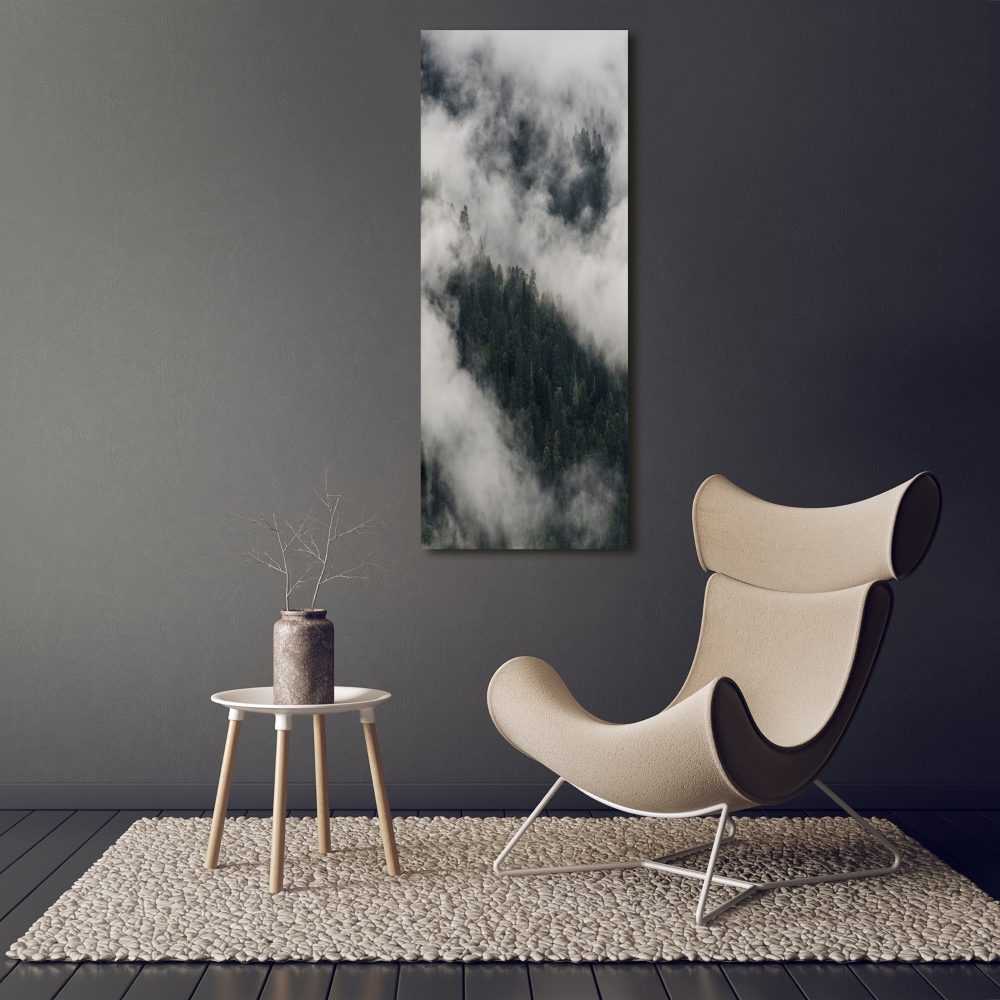 Akril üveg kép Cloud az erdő