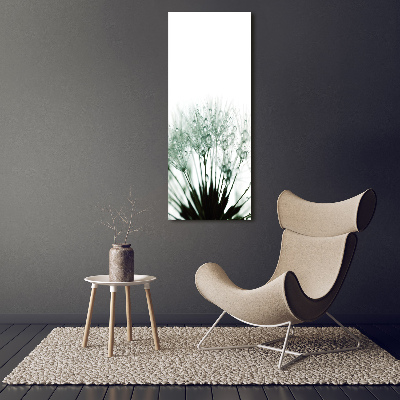 Akrilkép Pitypang magok