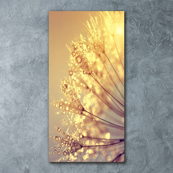 Akrilkép Pitypang magok