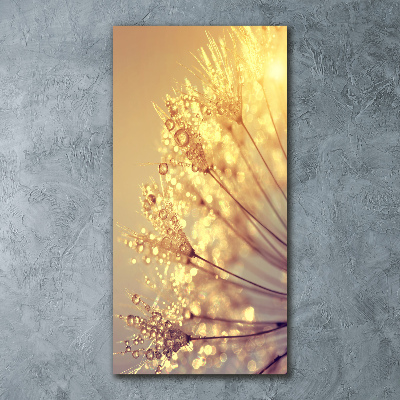 Akrilkép Pitypang magok