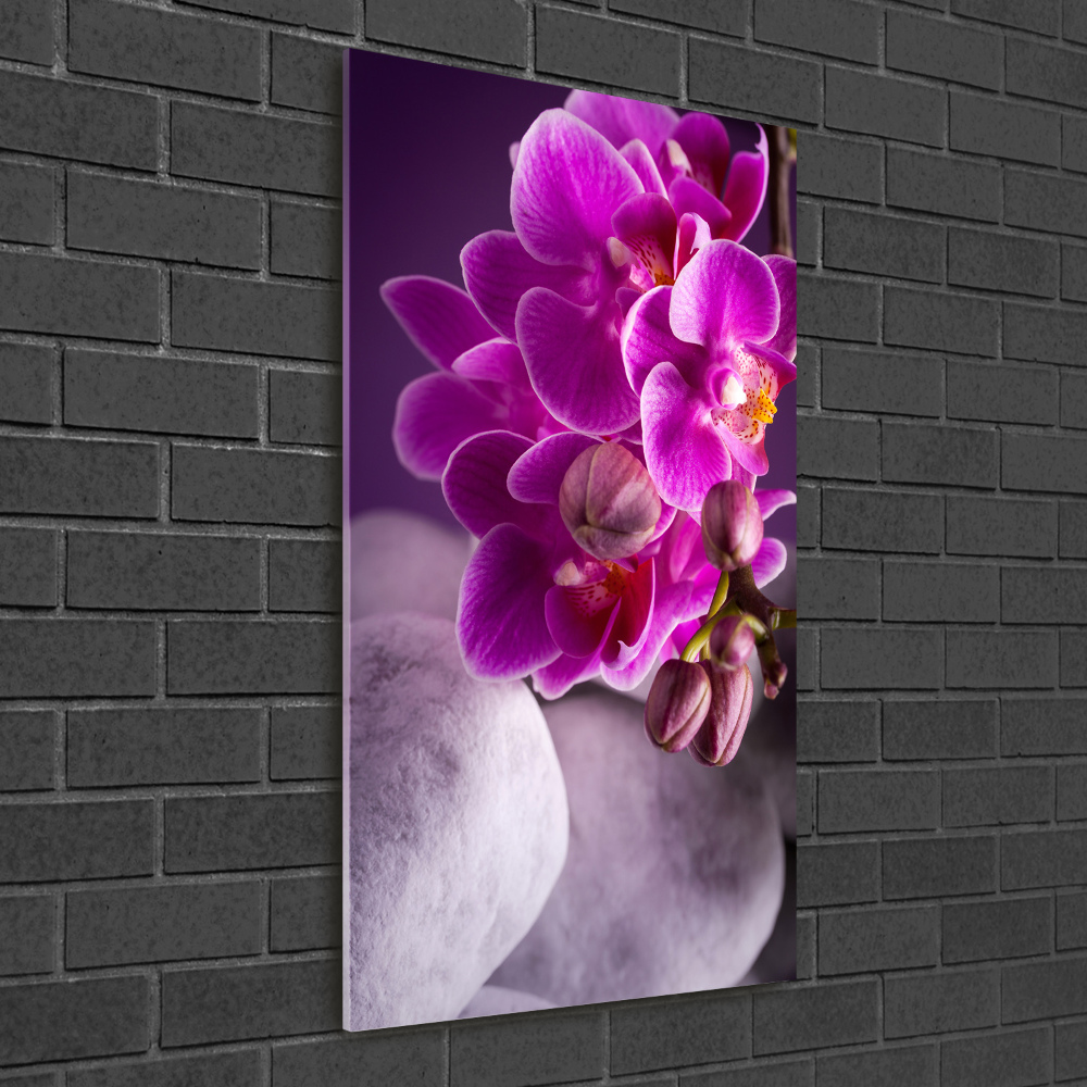 Akrilkép Rózsaszín orchidea