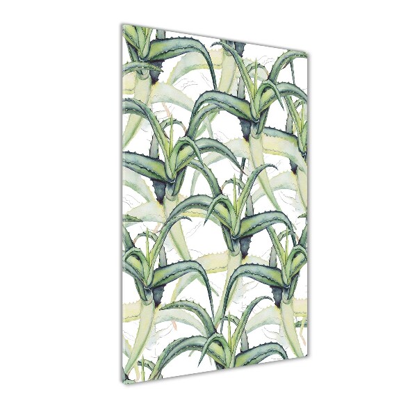 Akril üveg kép Aloé