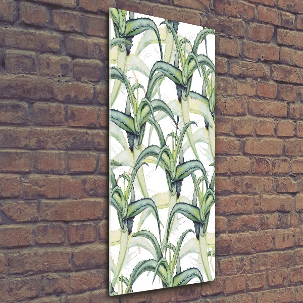 Akril üveg kép Aloé