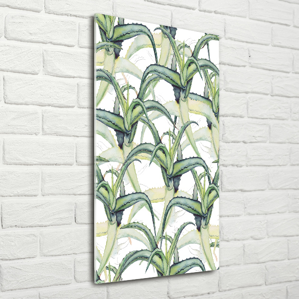 Akril üveg kép Aloé