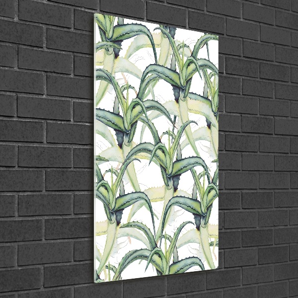 Akril üveg kép Aloé