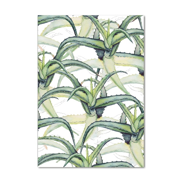 Akril üveg kép Aloé