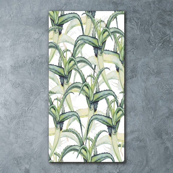 Akril üveg kép Aloé