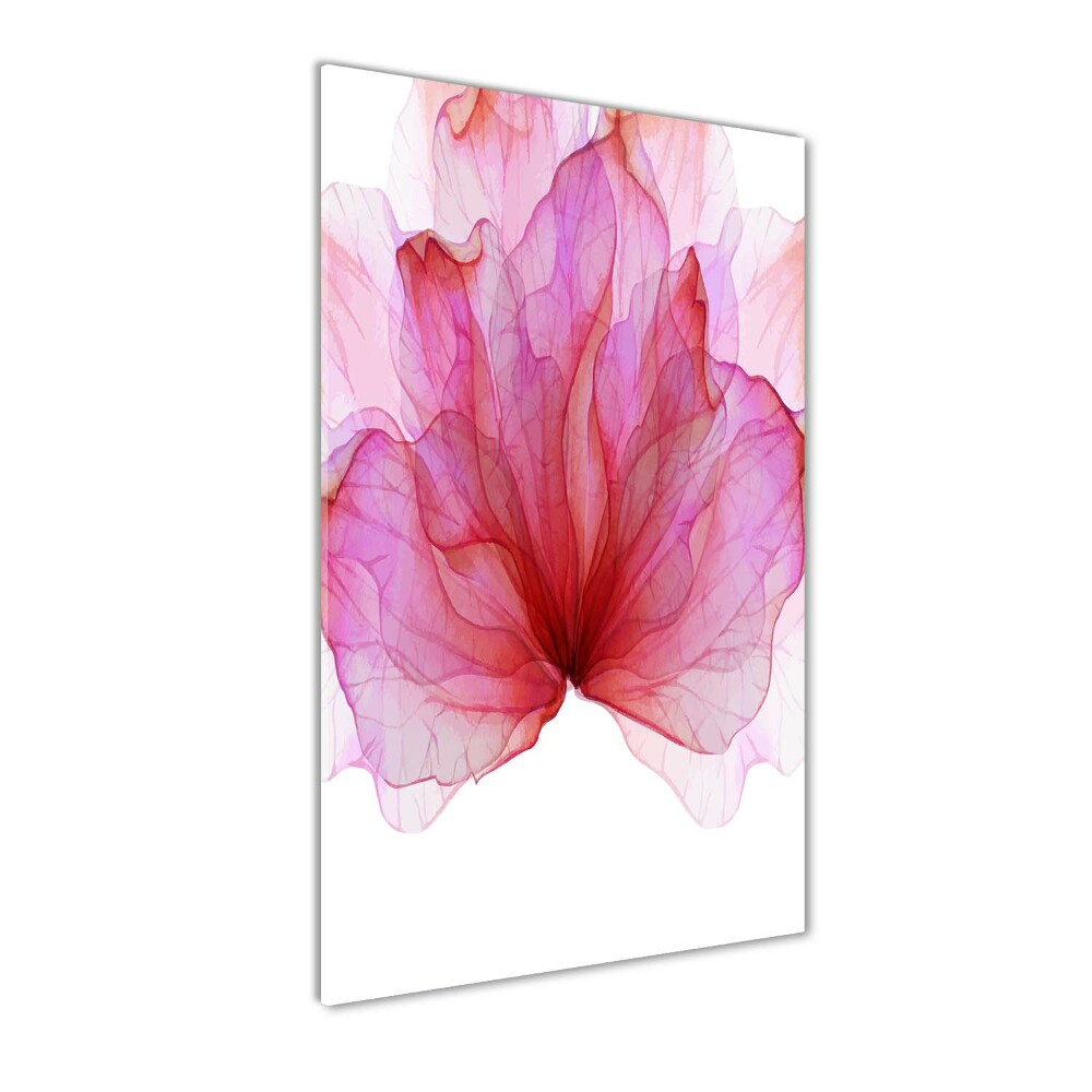 Akril üveg kép Rózsaszín virág