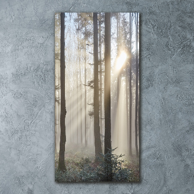 Akril üveg kép Köd az erdőben