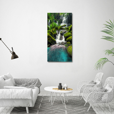 Akril üveg kép Vízesés a dzsungelben
