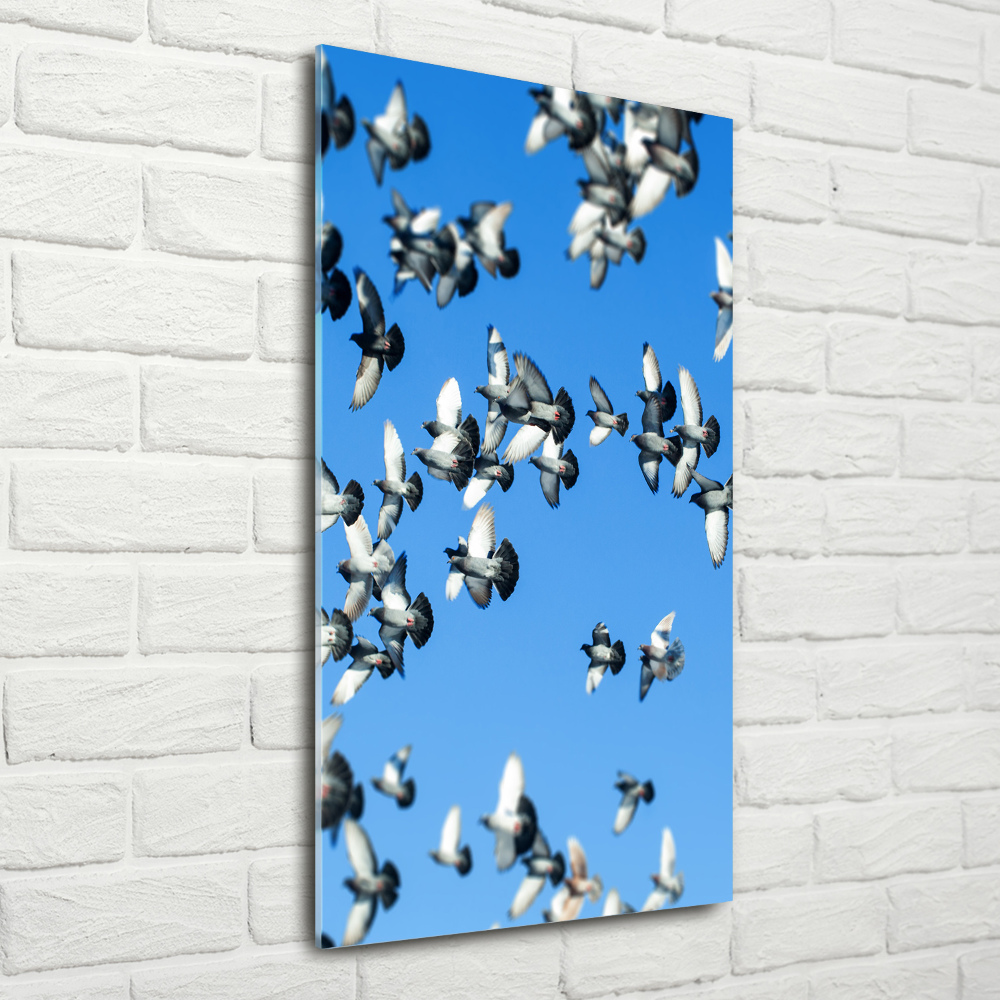 Akril üveg kép A galambok az égen