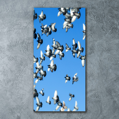Akril üveg kép A galambok az égen