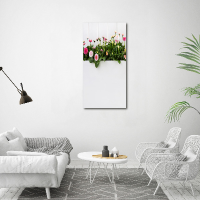 Akrilkép Rózsaszín százszorszépek