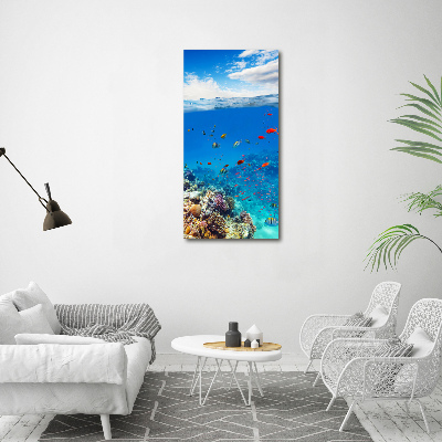 Akril üveg kép Korallzátony