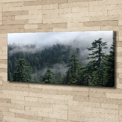 Feszített vászonkép Erdő köd