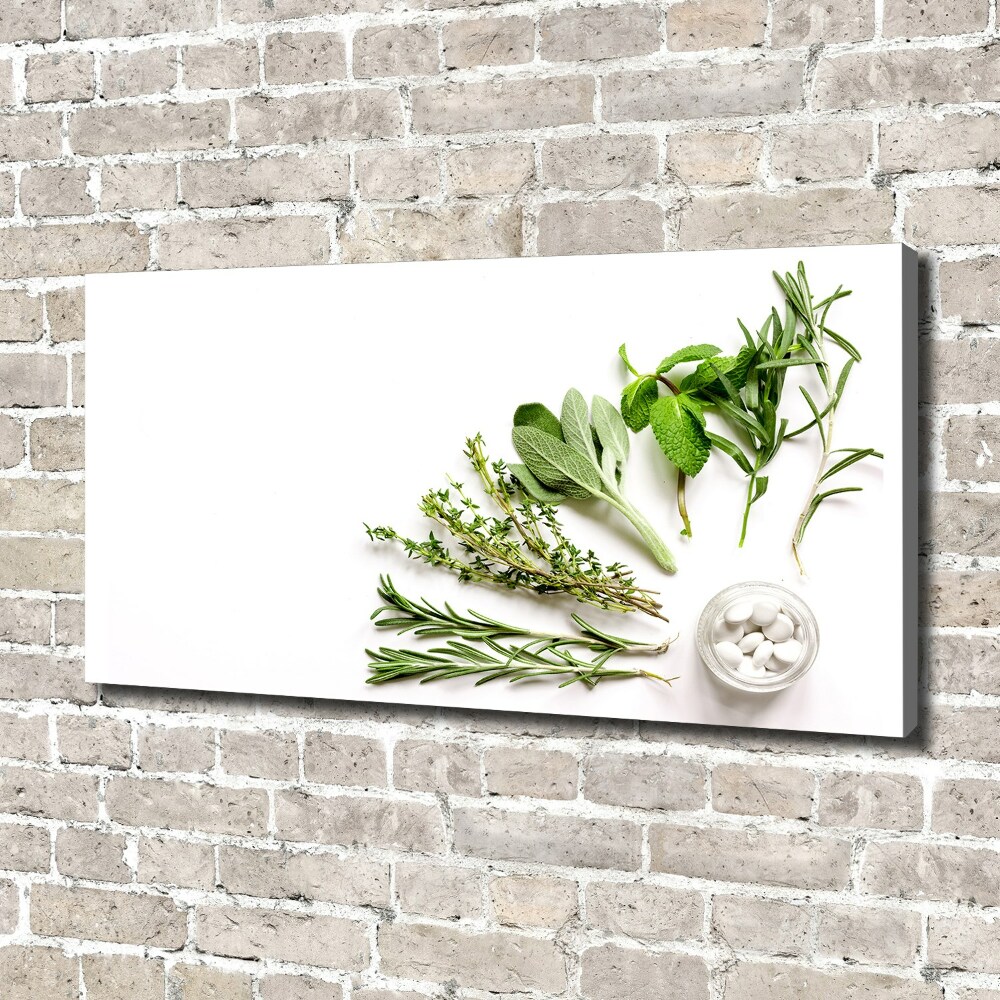 Fali vászonkép Gyógynövények