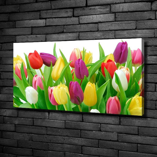 Vászonkép nyomtatás Színes tulipán