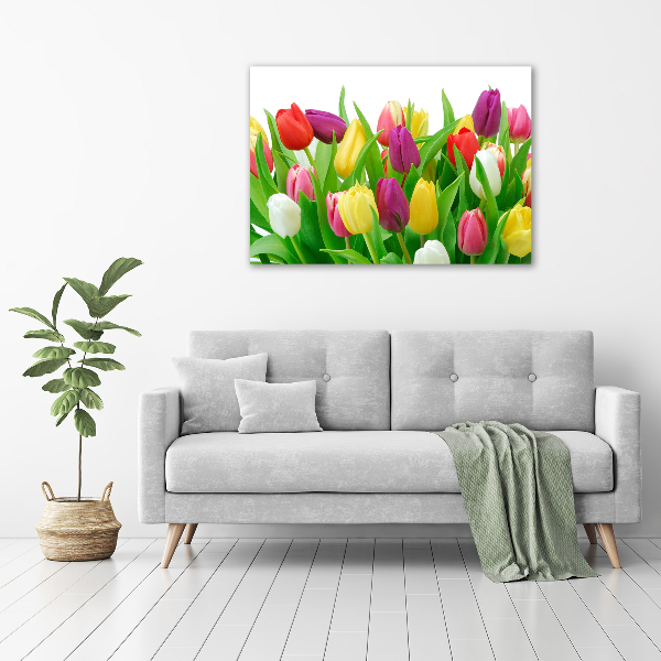 Vászonkép nyomtatás Színes tulipán