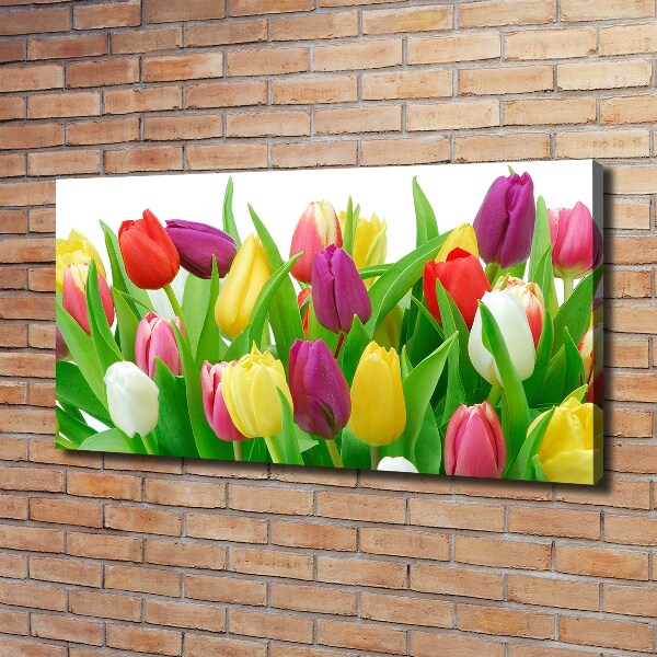 Vászonkép nyomtatás Színes tulipán
