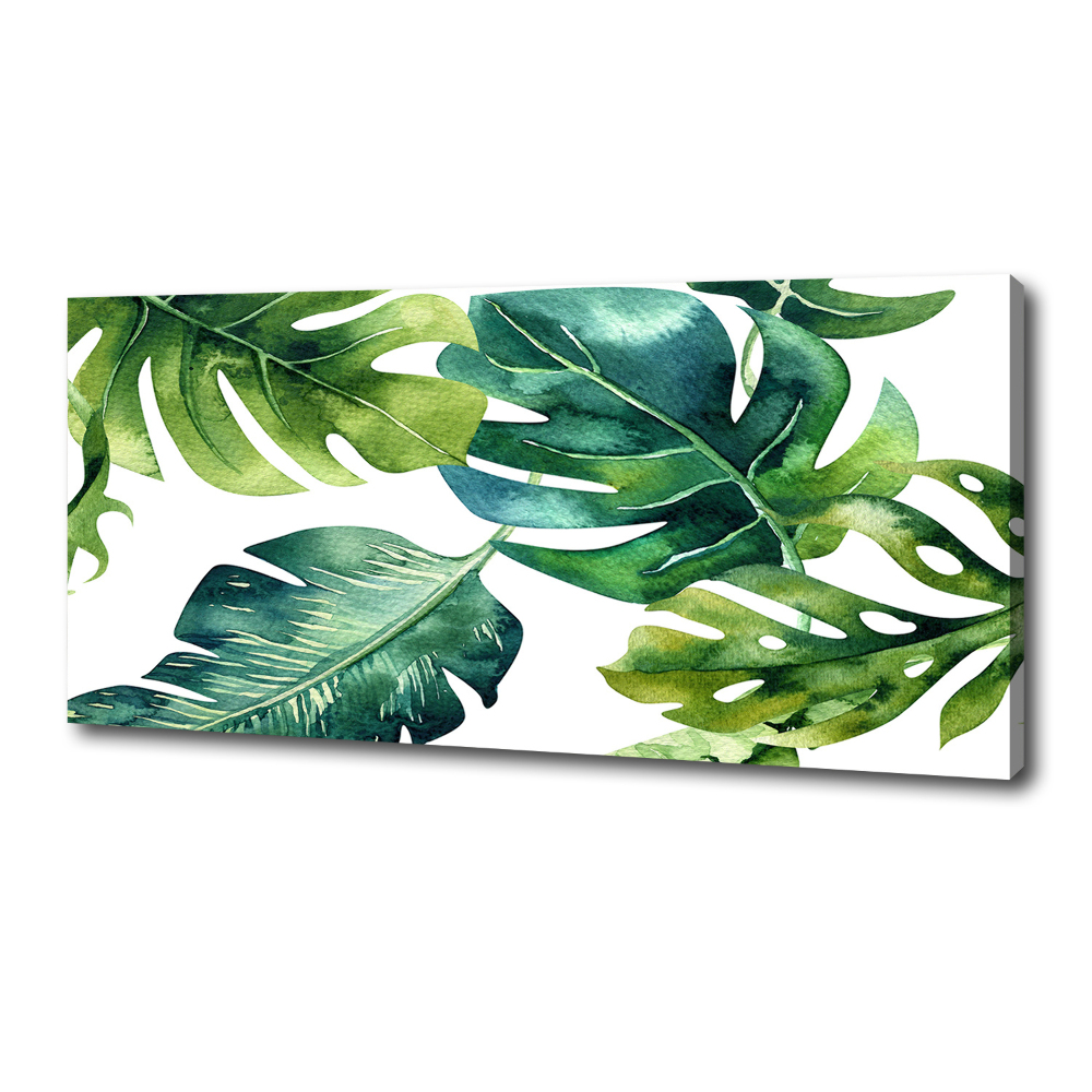 Fali vászonkép Trópusi levelek