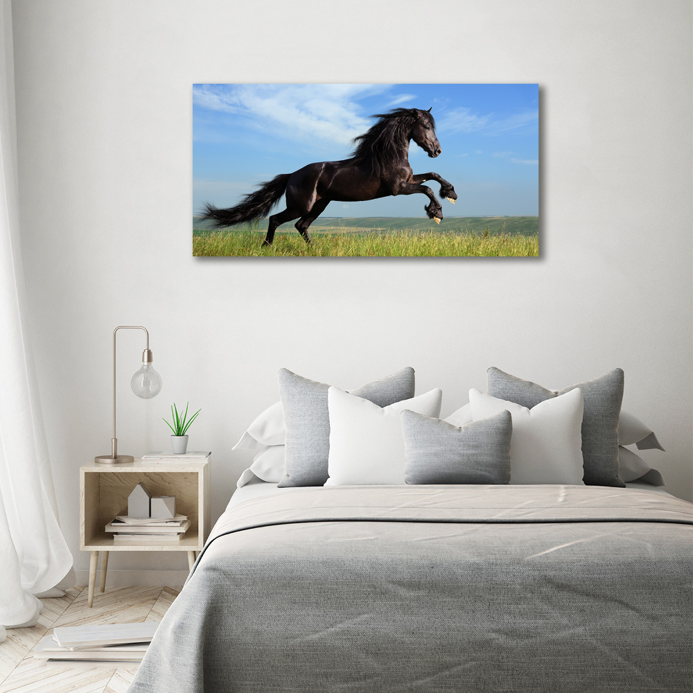 Vászonkép Fekete ló a réten