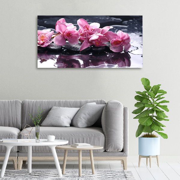 Vászonkép nyomtatás Rózsaszín orchidea