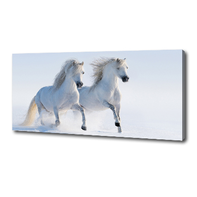 Vászonkép Két ló a hóban