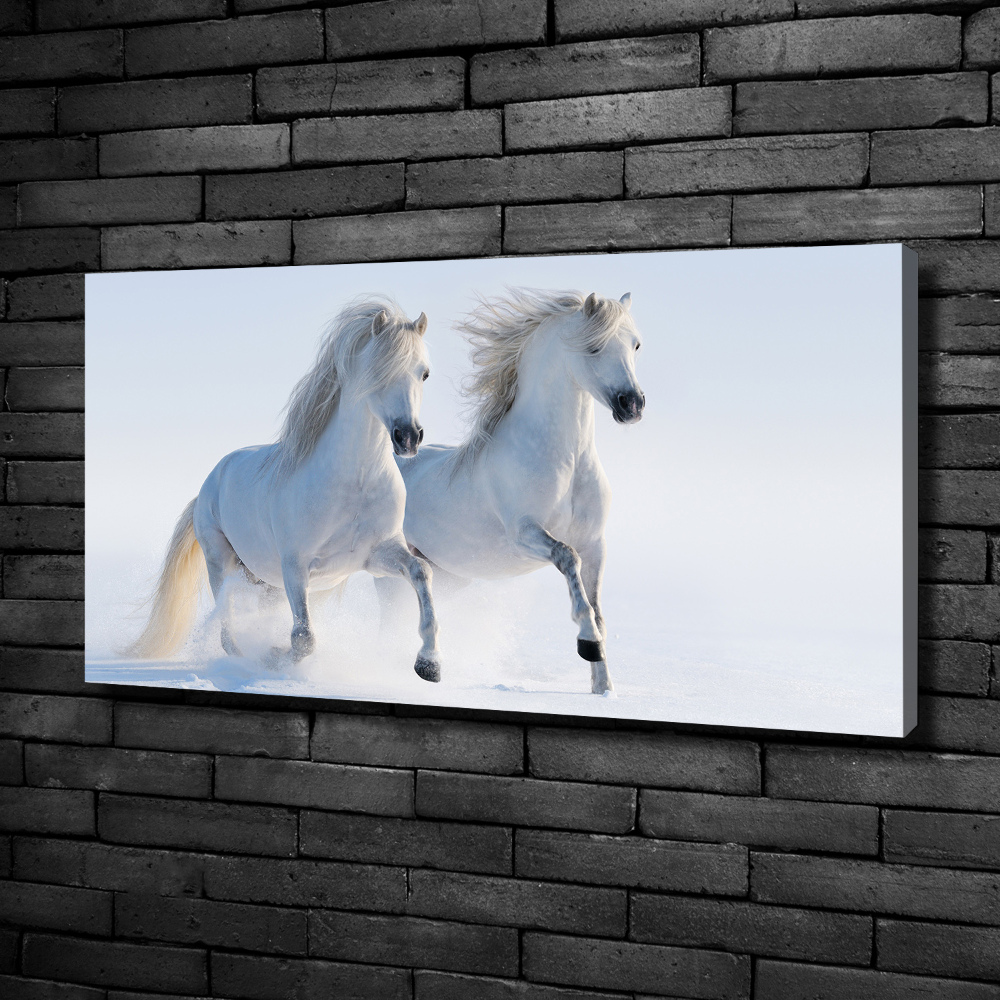 Vászonkép Két ló a hóban