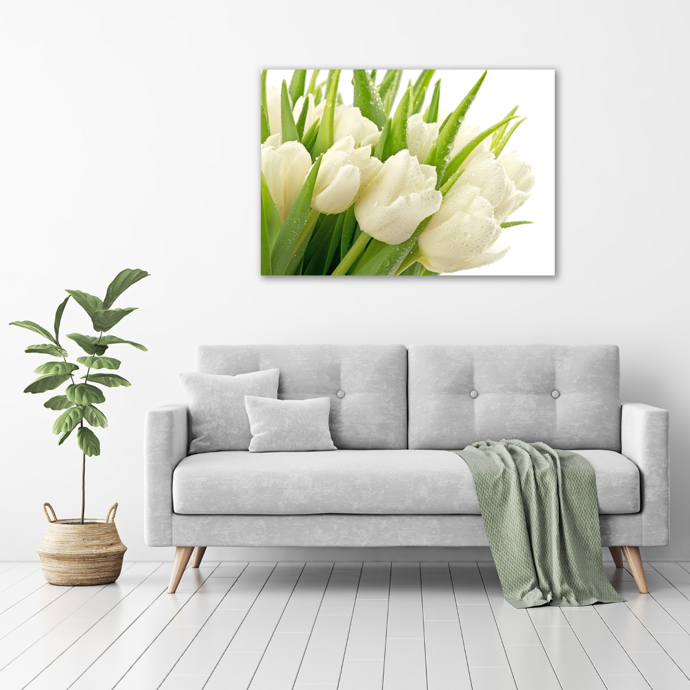 Egyedi vászonkép Fehér tulipán