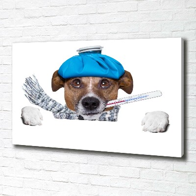 Vászonkép Beteg kutya