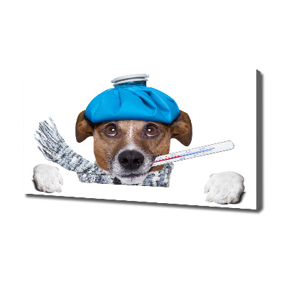 Vászonkép Beteg kutya
