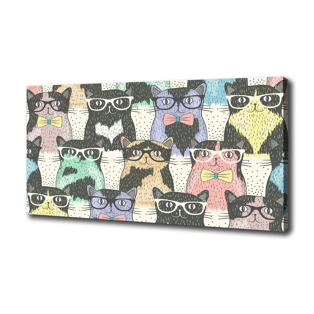 Vászonkép Macskák szemüveg