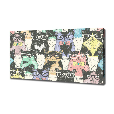 Vászonkép Macskák szemüveg