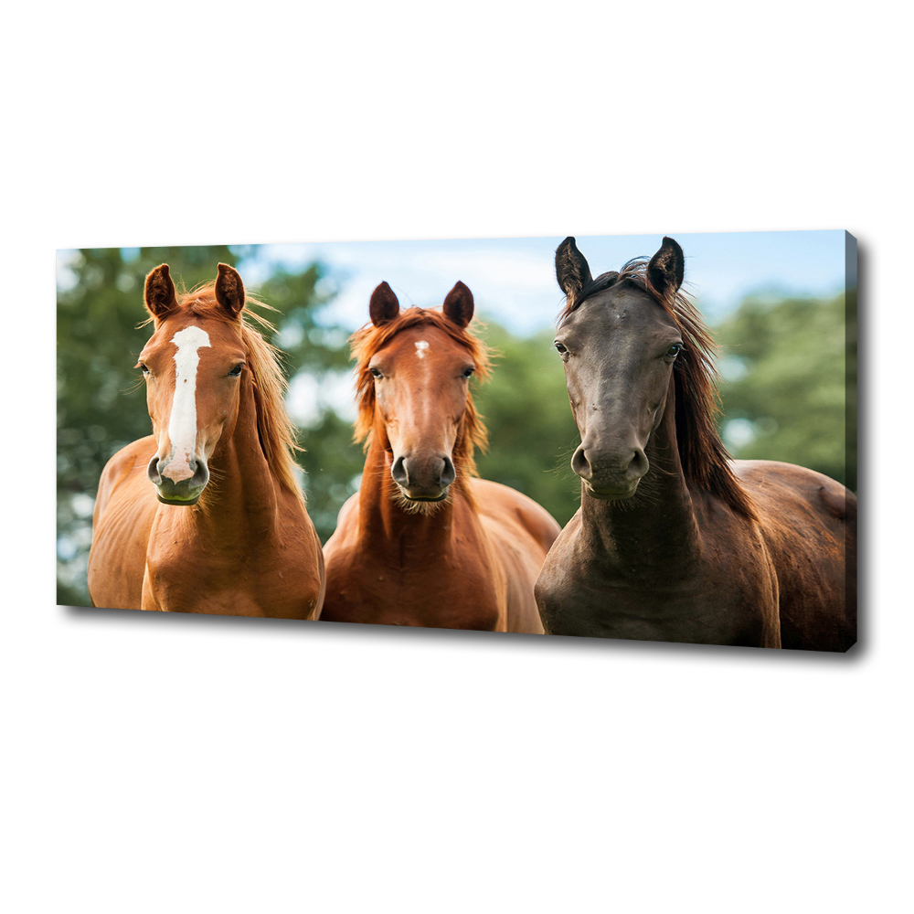 Vászonkép Három lovat